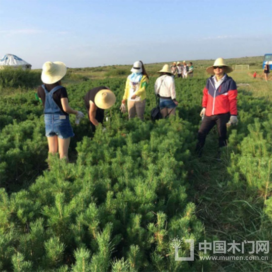 百德木門(mén)綠化