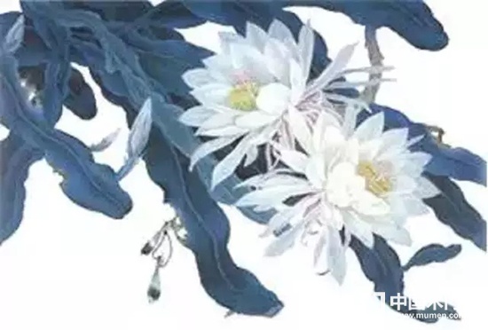 天大木門(mén)