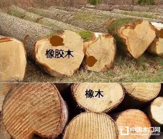 橡木還是橡膠木