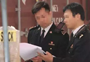 漲勢(shì)兇猛：江蘇太倉口岸進(jìn)境木材漲幅超過三成