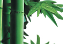 銷售該這樣打電話！！