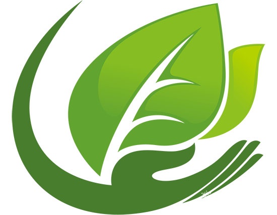 山東出臺(tái)政策 木門(mén)企業(yè) 環(huán)保