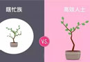 瞎忙，高效，這一年眼看就要結(jié)束了，你屬于哪種?