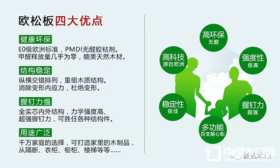 豪邁木門