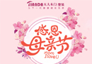母親節(jié)感恩大回饋，天大衡水專賣店買木門贈(zèng)平開(kāi)門！