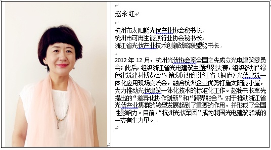 雄安新區(qū)光電建筑應(yīng)用論壇