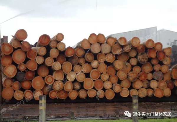 冠牛木門“簡(jiǎn)·時(shí)代”將南美尤加利作為指定木材