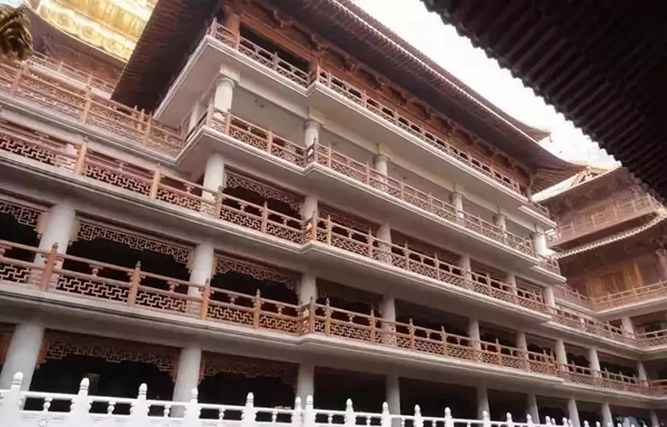 嘉禾定智：號(hào)稱“萬木之王，千年不腐”的竟是它！