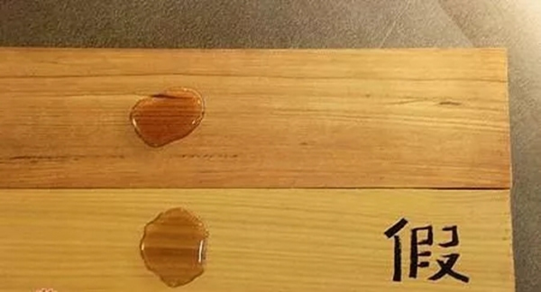 嘉禾定智：號(hào)稱“萬木之王，千年不腐”的竟是它！