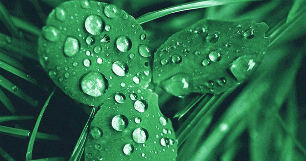 喬金斯整木定制：夏至將至，不負(fù)時光不負(fù)己
