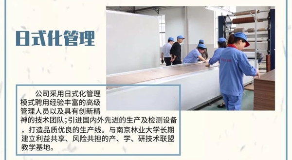 走進金迪木門泗陽工廠，揭開它鮮為人知的故事！