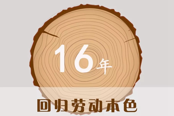 嘉禾定智：16年風(fēng)風(fēng)雨雨，回歸勞動(dòng)本色！