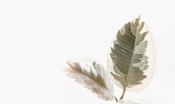 名雅居木門(mén)為您解鎖生活的N種可能性！