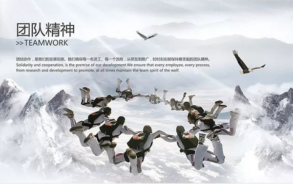 極家木門(mén)鐵軍團(tuán)隊(duì)拓展訓(xùn)練完美閉營(yíng)