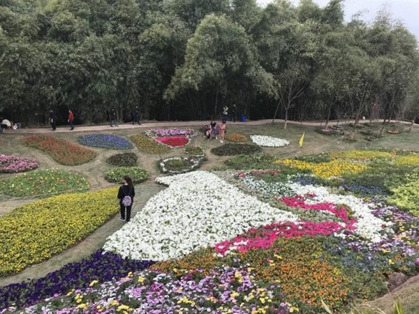 宜居木門“春回大地 走馬觀花”2019員工生日會圓滿落幕！