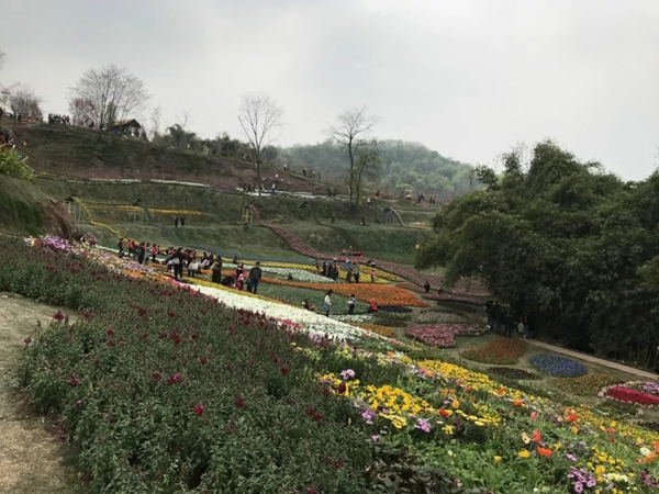 宜居木門“春回大地 走馬觀花”2019員工生日會圓滿落幕！