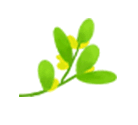 佰葉薈全屋定制讓源于大自然的家居走進(jìn)你的家！