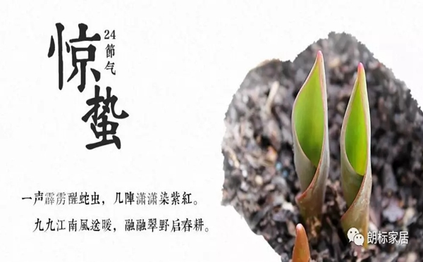 驚雷起 萬物醒 朗標(biāo)家居的春天！
