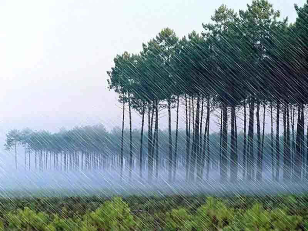 雨季來臨了，你準(zhǔn)備好了嗎?