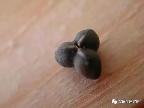 皇庭莊園全屋定制：2018最受歡迎的顏色排行榜，你一定不能錯(cuò)過