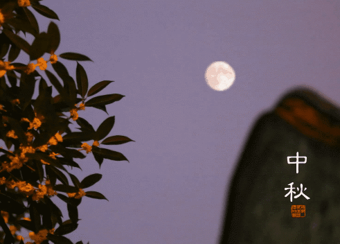 中秋佳節(jié)喜相逢 九重門(mén)業(yè)祝大家節(jié)日快樂(lè)