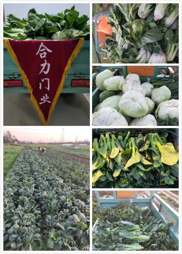 合力門業(yè)：疫情之下，合力經銷商有態(tài)度，有溫暖，有故事
