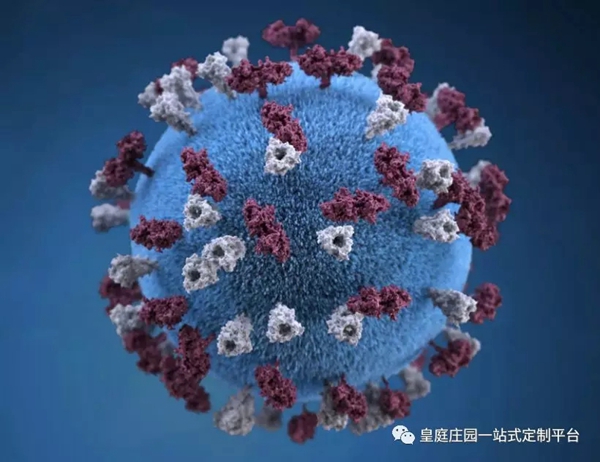 皇庭莊園給大家分享一些居家防護(hù)的知識