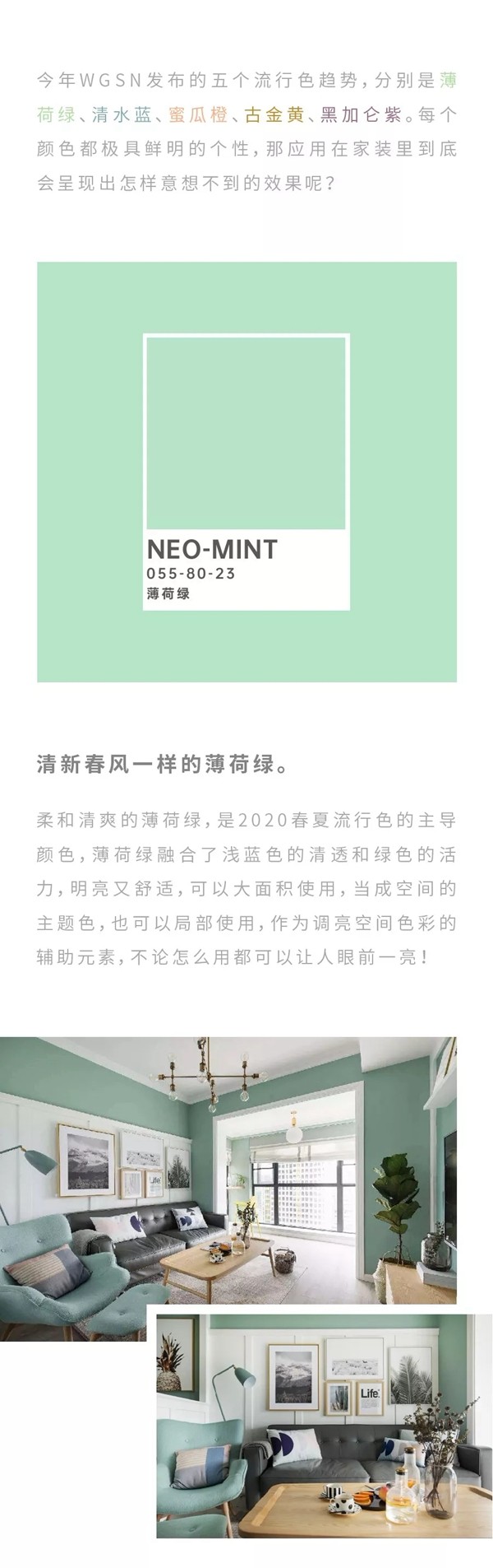 雙馳門業(yè)：最IN2020家居流行色 流行搭配來了解一下吧