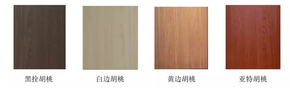 新標(biāo)木門：回顧2019，展望2020