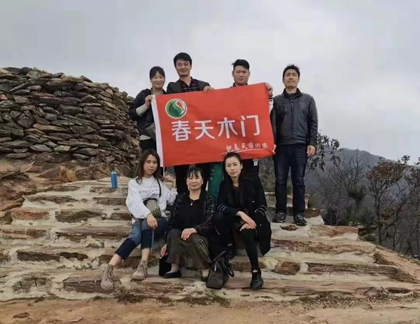 春天木門2019年12月全國銷售十強(qiáng)