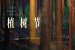 精武之帝木門：與綠色同行，與環(huán)保同行