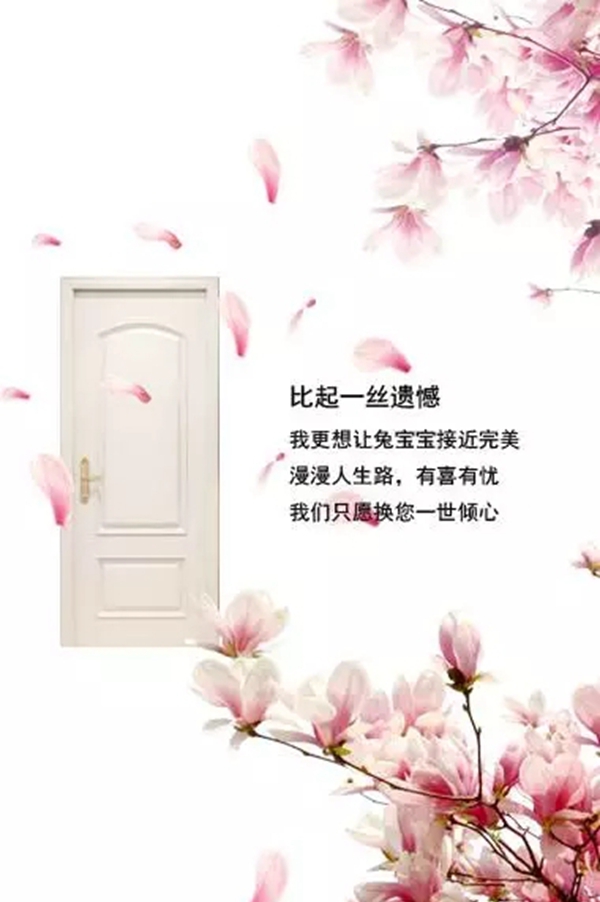 兔寶寶木門產(chǎn)品風(fēng)格 靜靜守護一個家