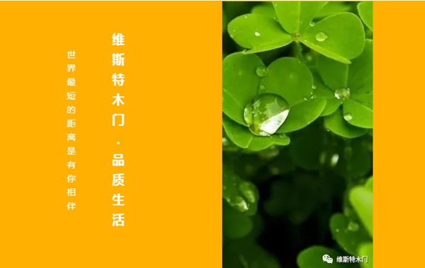 維斯特木門告訴你怎么選擇簡約風(fēng)格木門