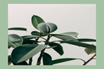 兄弟木業(yè)：留白是一個(gè)活躍的元素