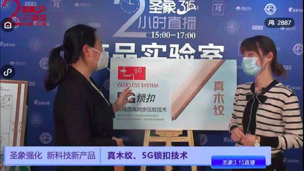 圣象315為消費者構(gòu)筑“足不出戶”的品質(zhì)生活