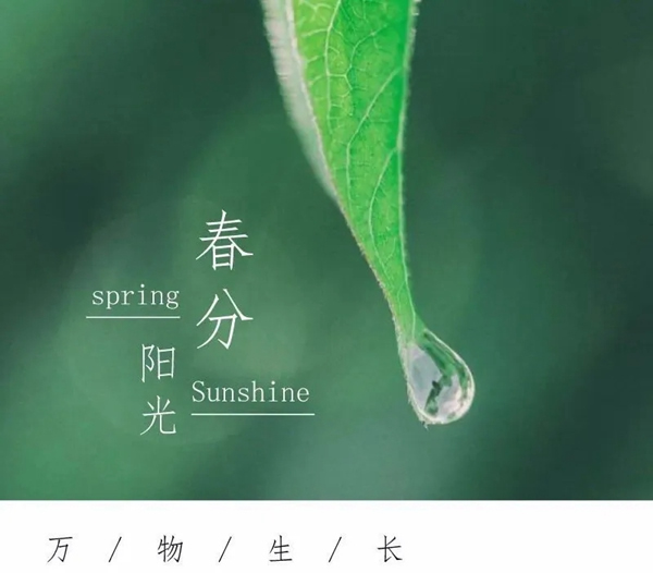 希格瑪木門：春色如許，不負韶光