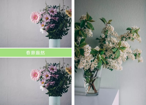 希格瑪木門：春色如許，不負韶光