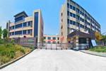 科派木門|自成一派者絕非等閑之輩，最少是個(gè)上市企業(yè)