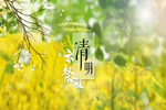 精武之帝木門：清明踏春，文明緬懷（內(nèi)附放假通知）