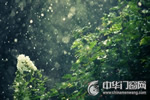 梅雨季節(jié)到來，您家木門防潮工作準備好了么？