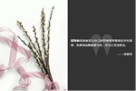 豪邁木門：你與精致生活的距離，還差一個(gè)TA