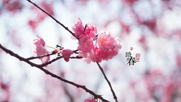 雅帝樂門業(yè)線上直播工廠直購(gòu)會(huì)，億元紅包等你拿！