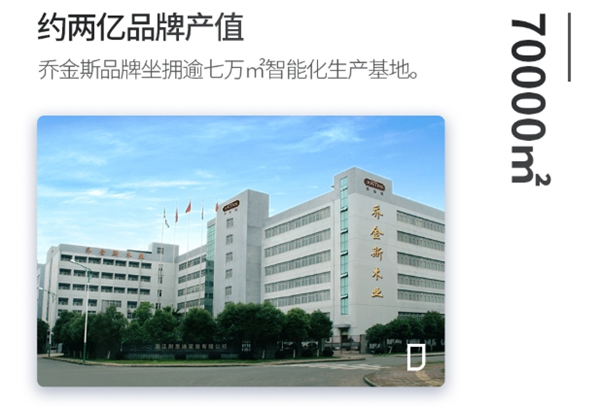 喬金斯【私享家】|2億市值，飛入尋常百姓家