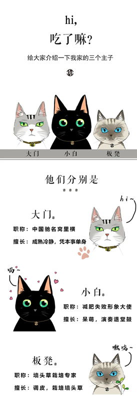 思諾爾家木門(mén)：帶著行業(yè) 去做正確的事情