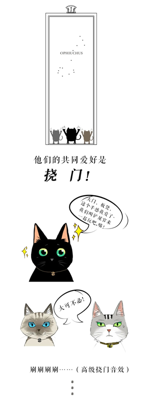思諾爾家木門(mén)：帶著行業(yè) 去做正確的事情