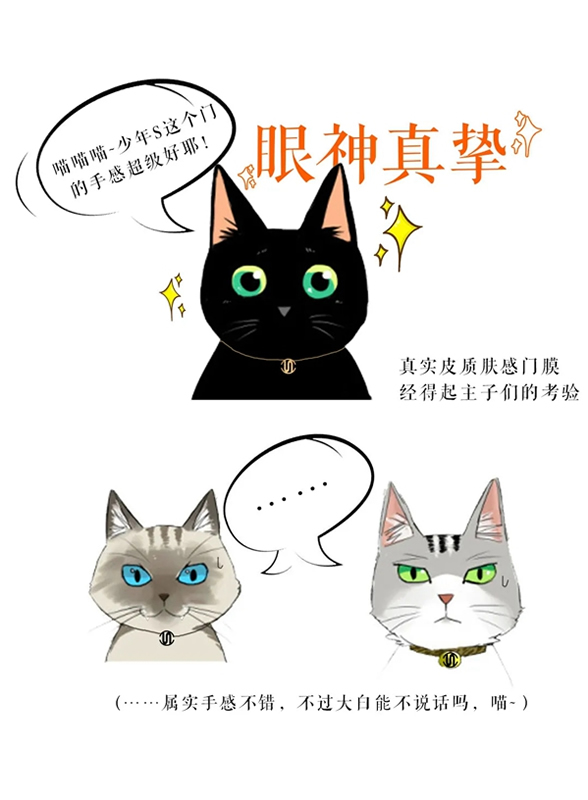 思諾爾家木門(mén)：帶著行業(yè) 去做正確的事情