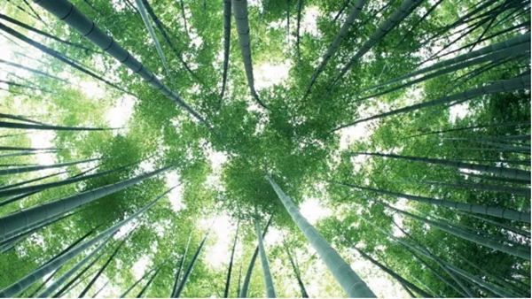 盈康世家木門：升級消費(fèi)理念 注入新活力