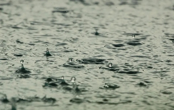 兔寶寶木門：梅雨季節(jié)，木門的養(yǎng)護性預防方法