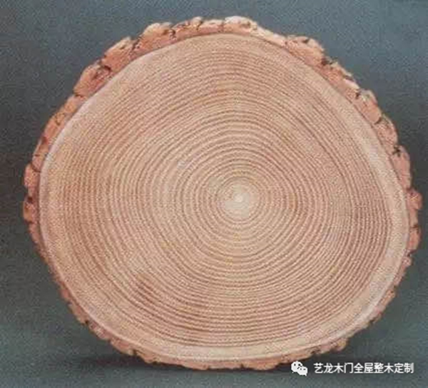 藝龍木門(mén)·整木定制：這些木材你都了解嗎？
