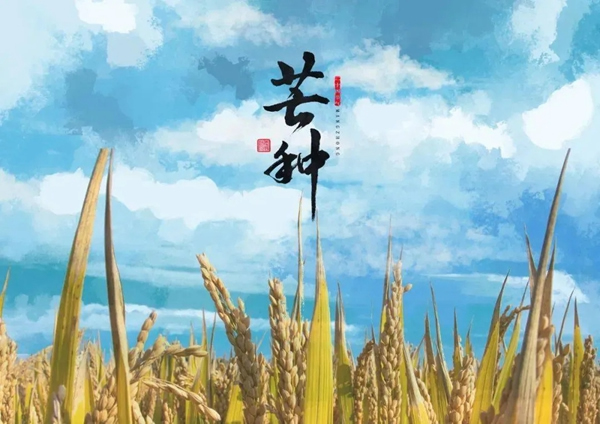 鑫迪木門：為愛奔芒，辛勞耕種！